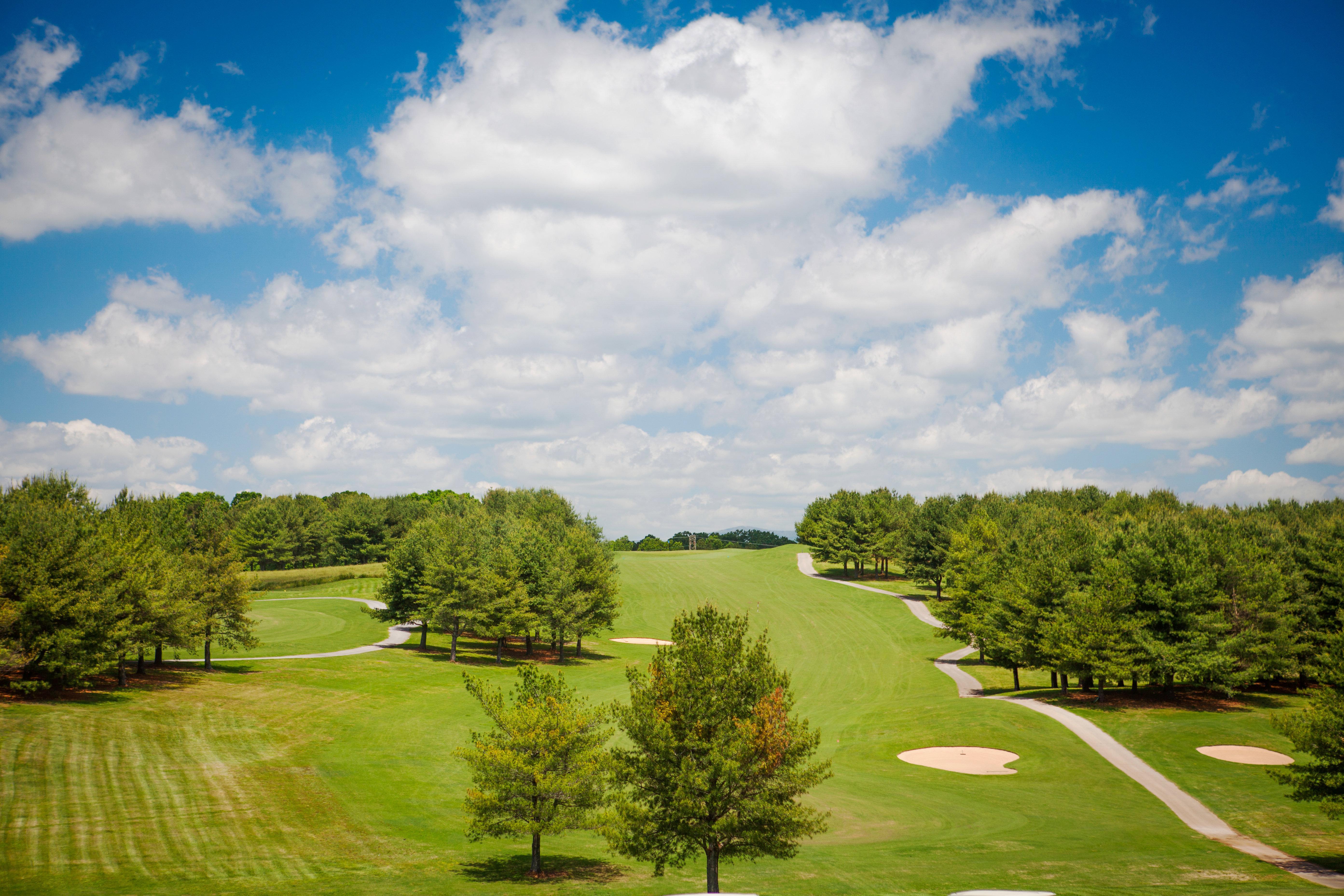 Holiday Inn Club Vacations Apple Mountain Resort At Clarkesville Екстериор снимка