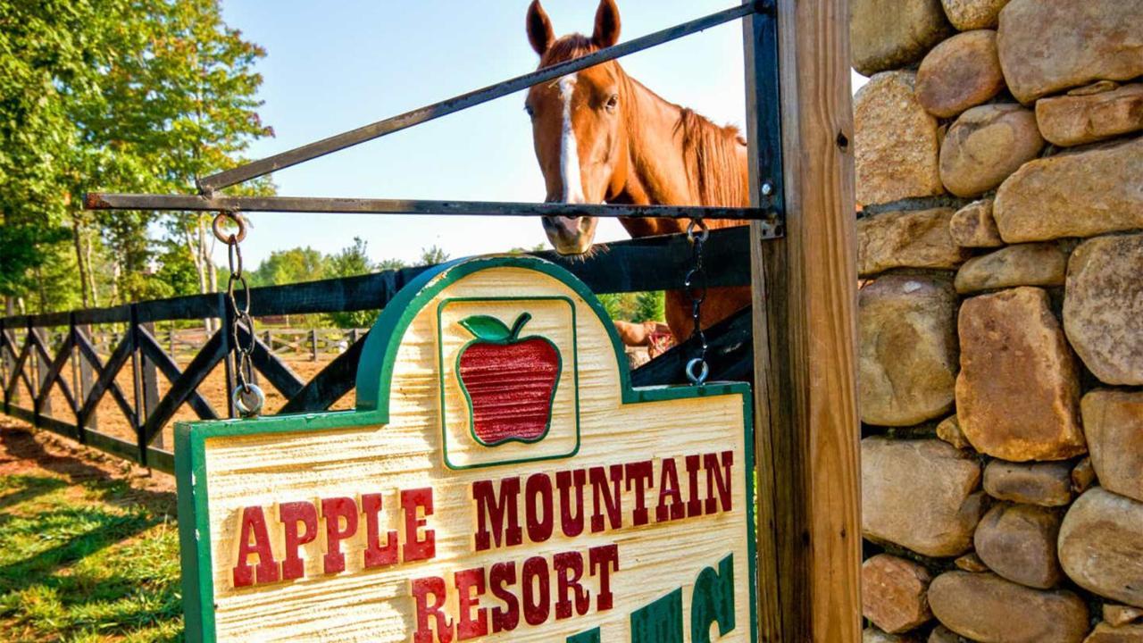 Holiday Inn Club Vacations Apple Mountain Resort At Clarkesville Екстериор снимка